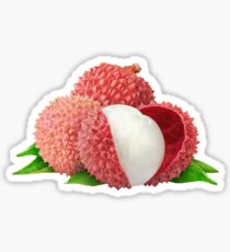 Lychee fruits Sticker