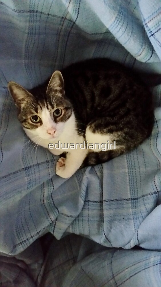 "The Blanket Thief" by edwardiangirl Redbubble