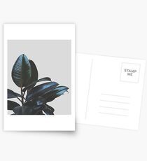 Botanical Art V4 #redbubble #tech #style #fashion Postcards