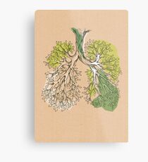 Anatomie der Natur 05 Metallbild
