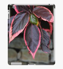 contrasts iPad Case/Skin