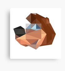 Banjo Polygon Canvas Print