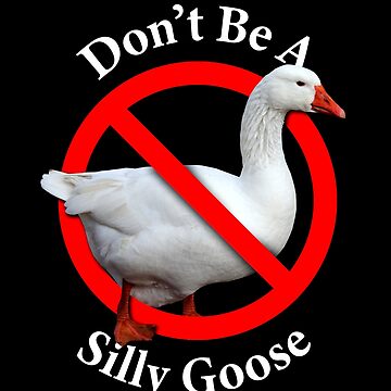Artwork thumbnail, Don't Be A Silly Goose - Don't be Stupid by notstuff