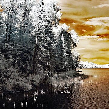 Artwork thumbnail, Infrared View at Bearskin Lake by char55116
