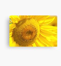 Un Distance Canvas Print