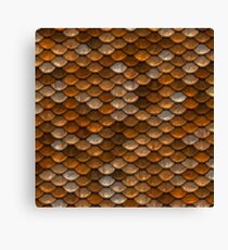 Scales Canvas Print