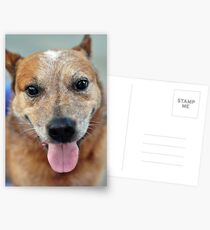 50mm Postcards