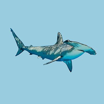 Shark Coloring Book for Kids: Underwater White Shark, Hammerhead