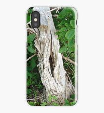 Decayed Tree Stump iPhone Case/Skin