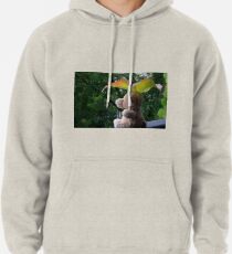 Adieu Été, Bonjour Automne Pullover Hoodie