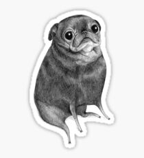 Sweet Black Pug Sticker