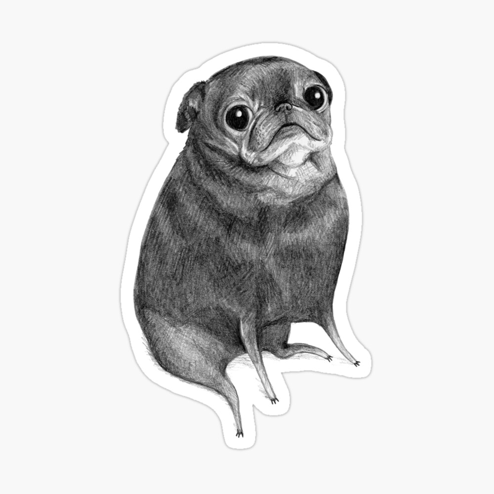 Sweet Black Pug Sticker