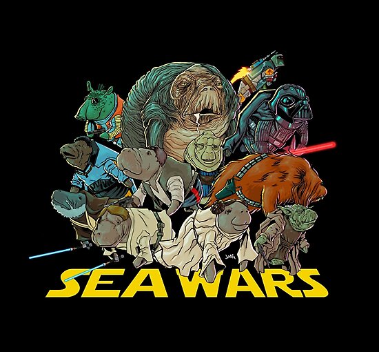 instal the new Sea Wars Online