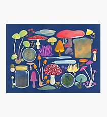 Mycology Photographic Print