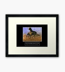 Determination Framed Print