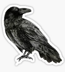 Raven Sticker