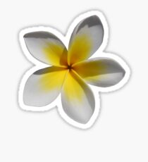 Frangipani Sticker