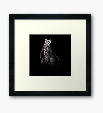 Kittysaurus Framed Print