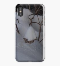 Fun iPhone Case/Skin
