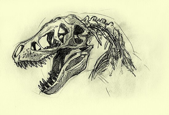 "T rex Sketch" Poster by Erupan | Redbubble