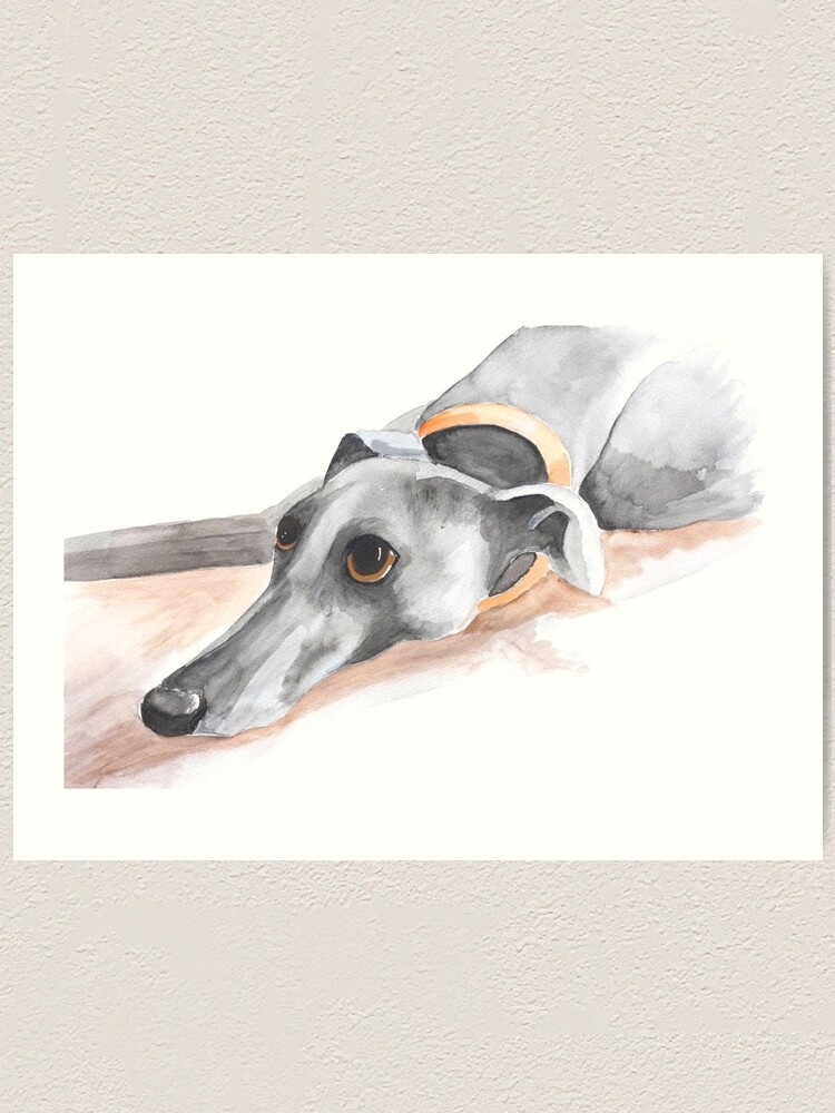 Greyhound Whippet Lurcher Lying Down Black White Art Print By