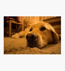 Max Photographic Print