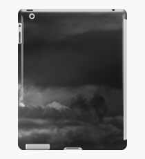 Aeroplane iPad Case/Skin