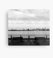 Viewpoint Metal Print