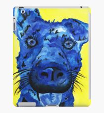 Joplin iPad Case/Skin