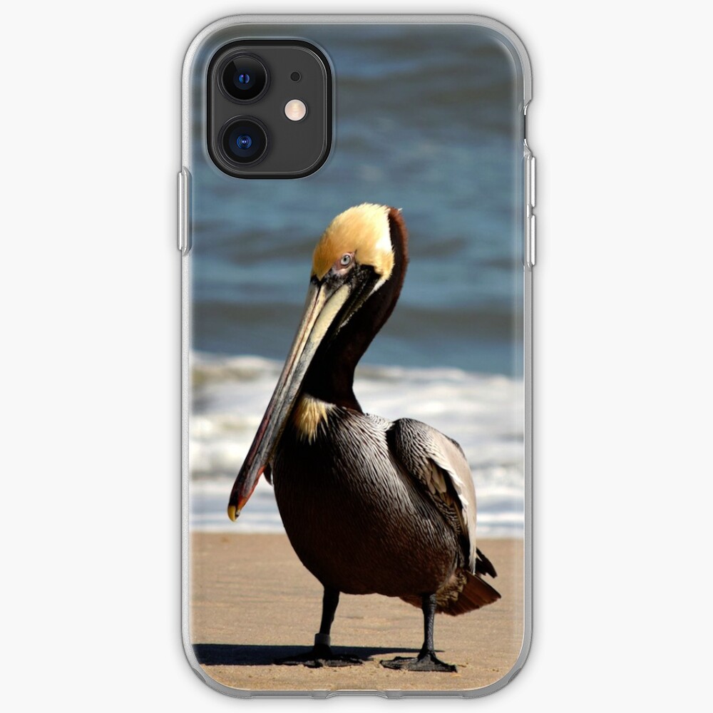 "Pelican Phone Cover" iPhone Case & Cover by swblazer Redbubble