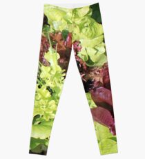 Mixed Salad Greens and Chives in Heirloom Garden Leggings