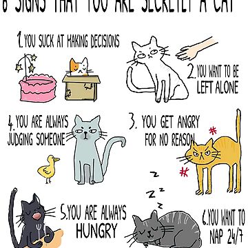 6 Signs That You Are Secretly a Cat Notebook Crazy Cat Lady -  UK in  2023