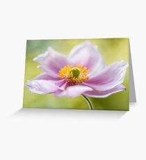 Soft Anemone Greeting Card