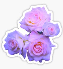 Roses Sticker