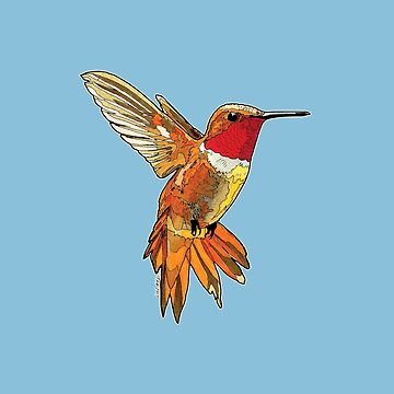 Rufous Hummingbird Matte Sticker 