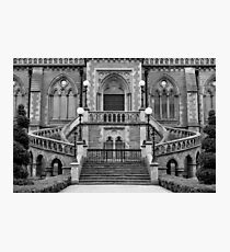 McManus Galleries Photographic Print