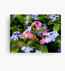 Pink for girls..Blue for boys Leinwanddruck