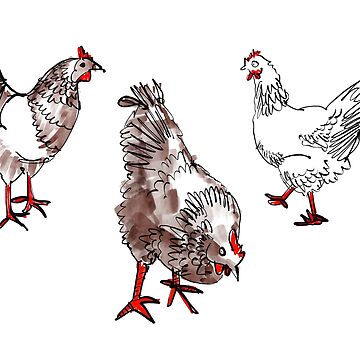 Vorschaubild zum Design Chicken Run  // Free roaming chicken // Chicken run // Chicken sketch with watercolor von apd-sign