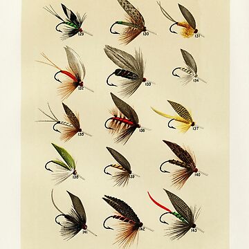 Vintage Fly Fishing Print - Trout Flies Art Board Print for Sale