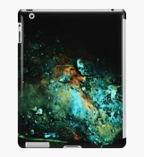 Earth iPad Case/Skin