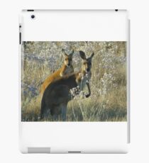 A pair of roos iPad Case/Skin