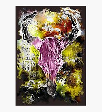 Toro Moro Photographic Print