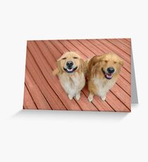 ✿♥‿♥✿ U Sure Do Crack Me UP ..THANKFUL FOR ANIMALS OUR PETS THAT MAKES US SMILE✿♥‿♥✿ Greeting Card