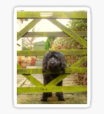 Beware of the Dog Sticker