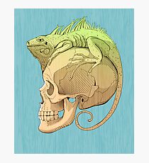 colorful illustration with iguana and skull Photographic Print