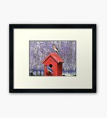 BIRDS Framed Print