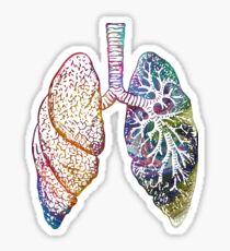 Lungs - Colours Sticker