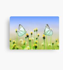 Butterflies Spring Nature Scenery Canvas Print