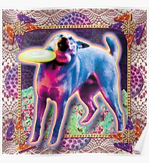meme doggo with frisbee Poster