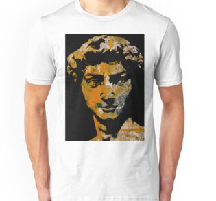 michelangelo david t shirt